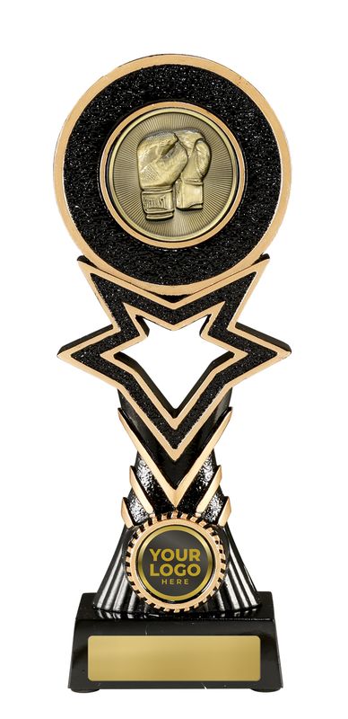 Boxing Trophy 295mm
