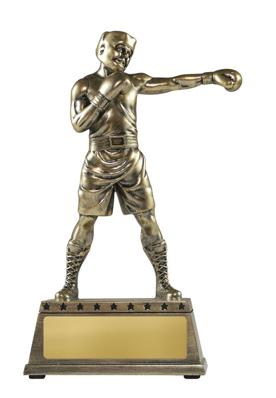 Boxing Trophy 263mm