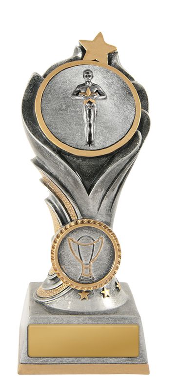 Achievement Schools Trophy 200mm