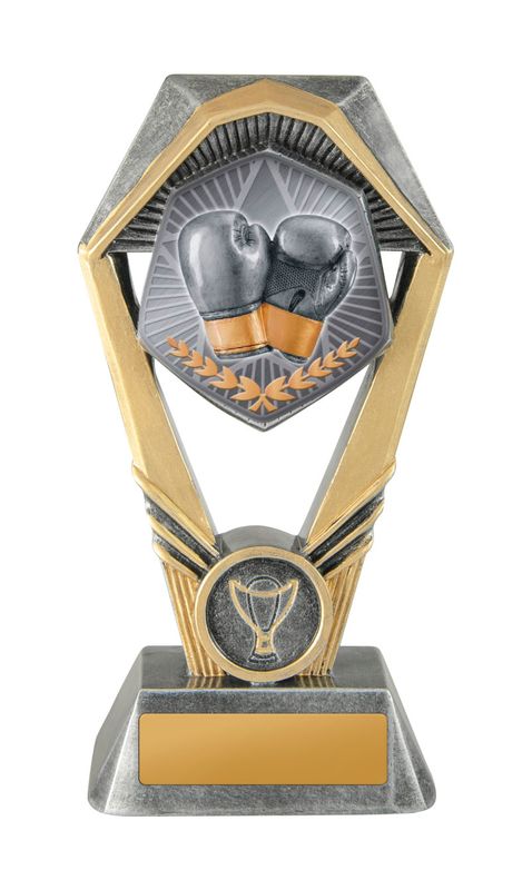 Boxing Trophy 230mm