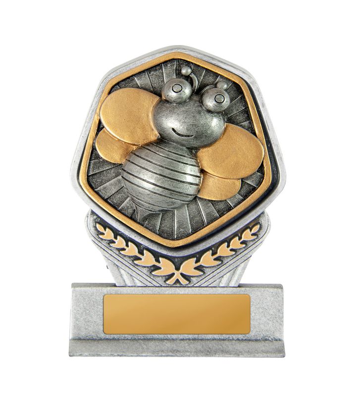 Knowledge Schools Trophy 225mm