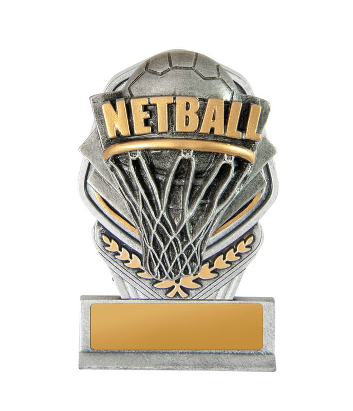 Netball Trophy 240mm
