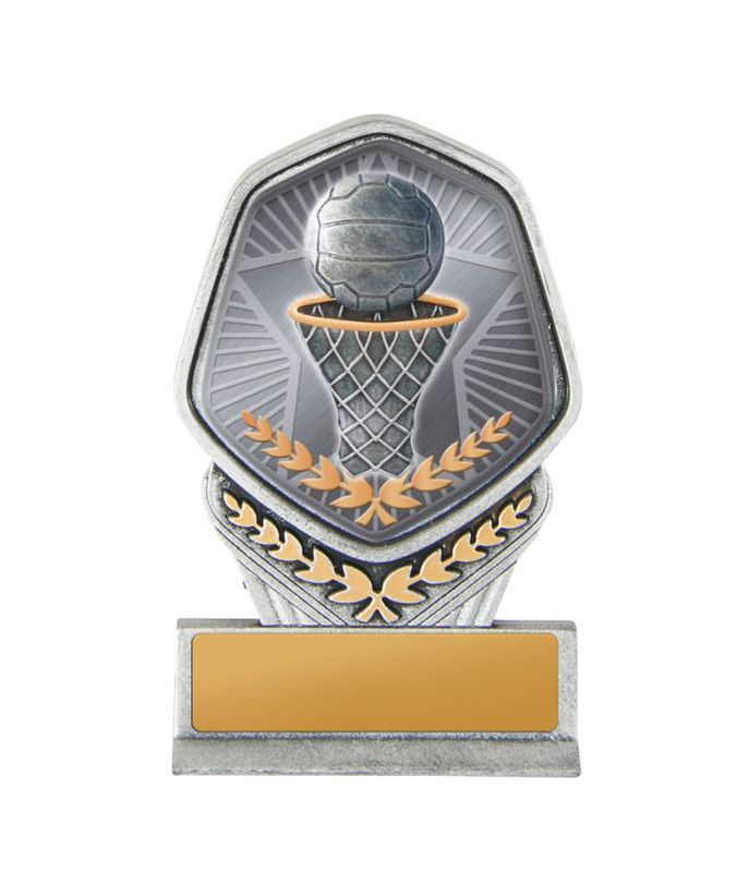 Netball Trophy 240mm