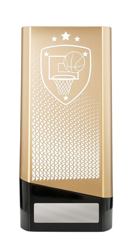 Basketball Trophy 220mm
