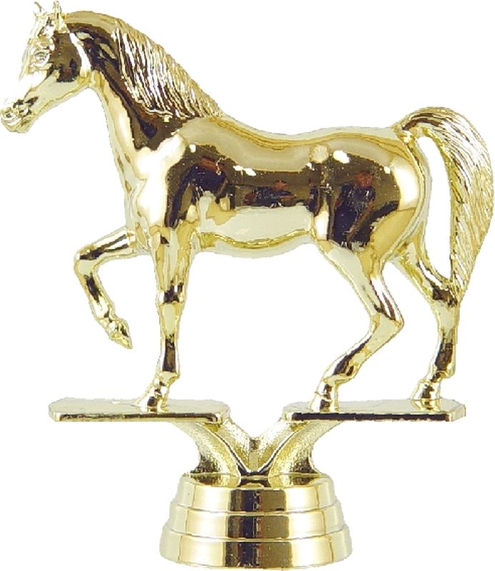 Arabian Horse