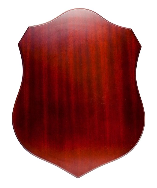 All Sports Plaque 410mm