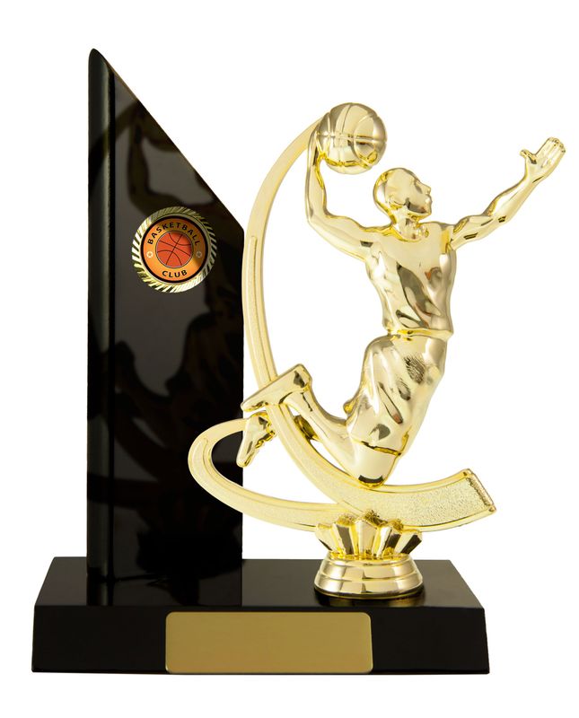 Basketball Trophy 195mm