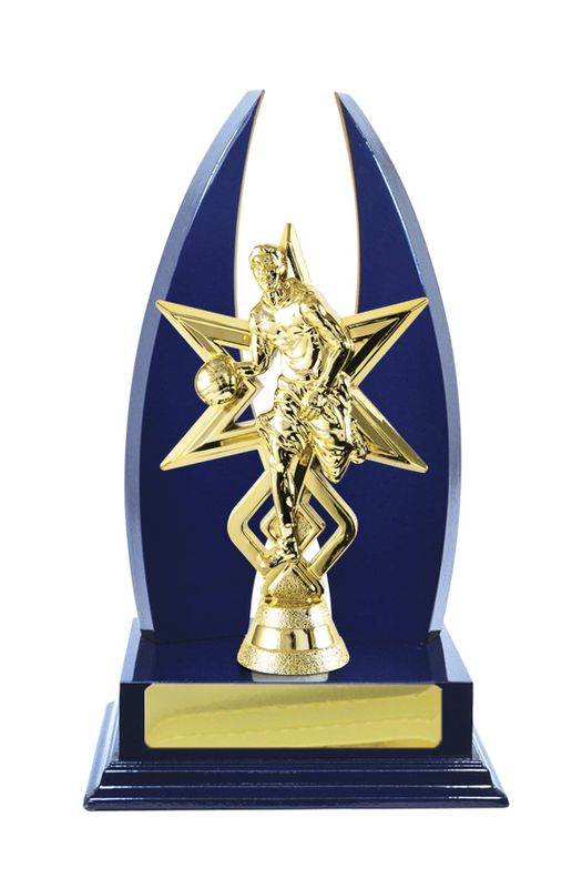 Basketball Trophy 270mm