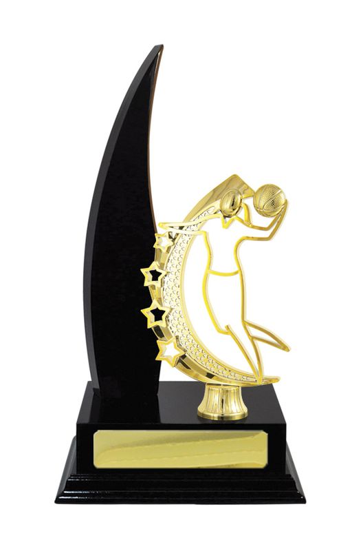 Basketball Trophy 270mm