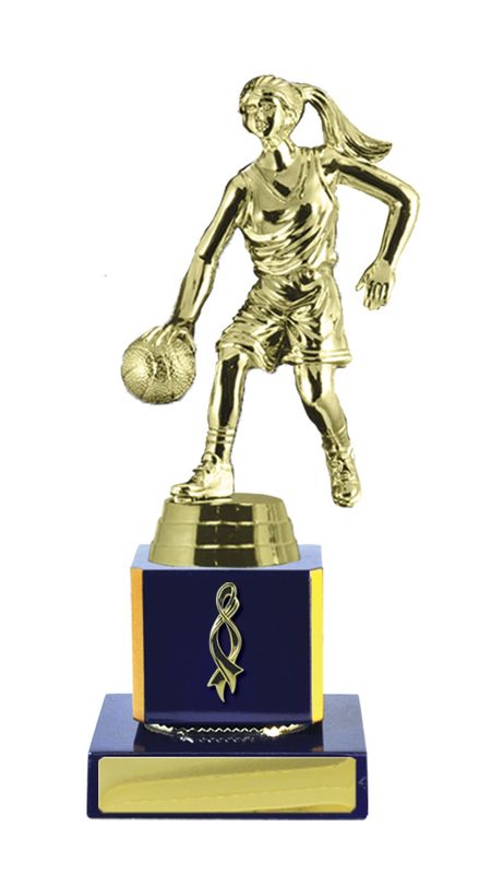 Basketball Trophy 205mm
