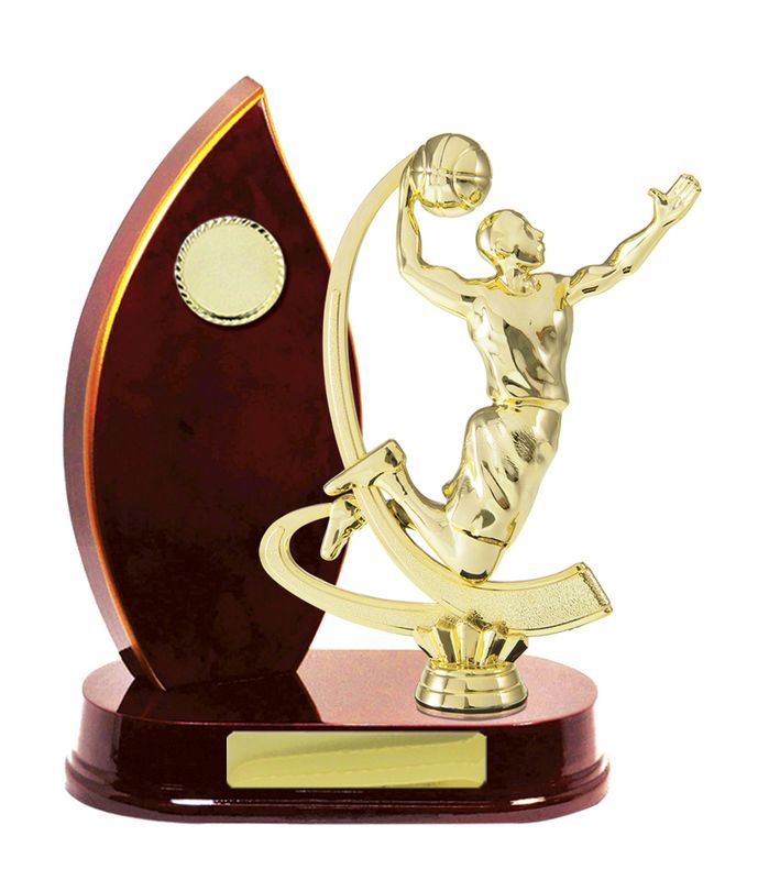 Basketball Trophy 230mm