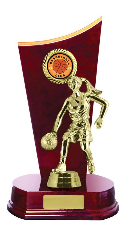 Basketball Trophy 230mm