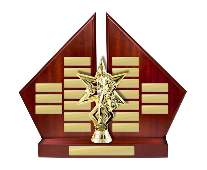 Basketball Perpetual Trophy 310mm