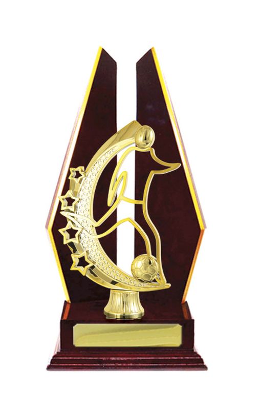 Football Male Trophy 305mm