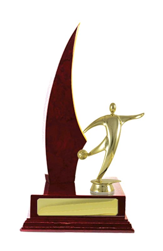 Football Trophy 270mm