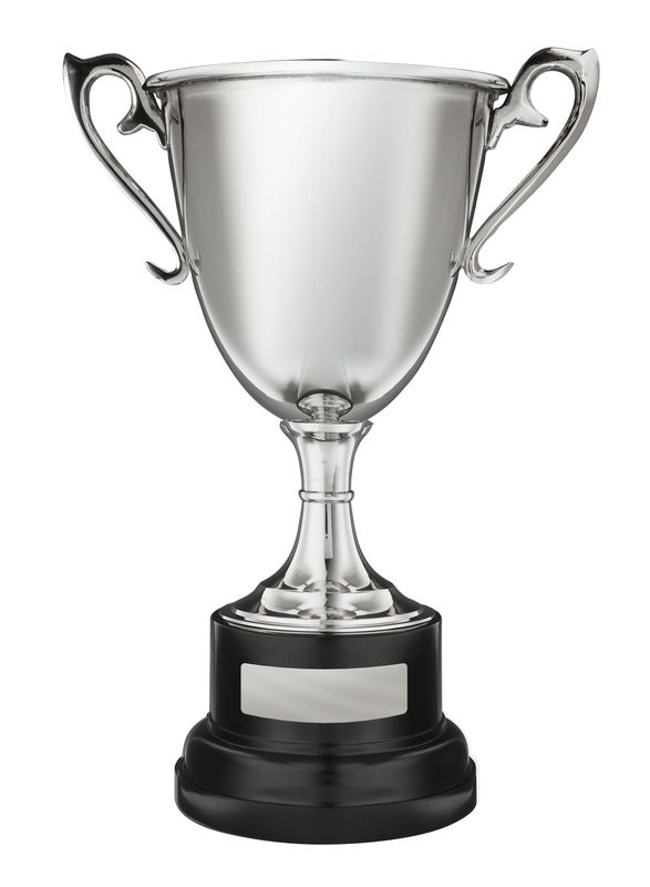 Achievement Silver Cup 290mm