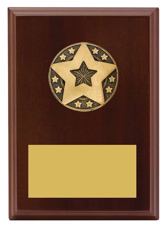 Star Award Plaque
