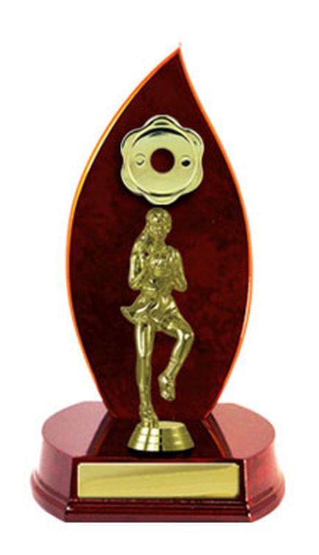 Netball Trophy 230mm