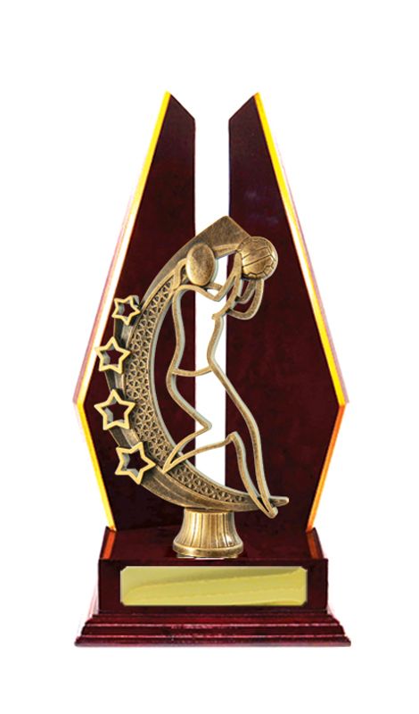 Netball Trophy 305mm
