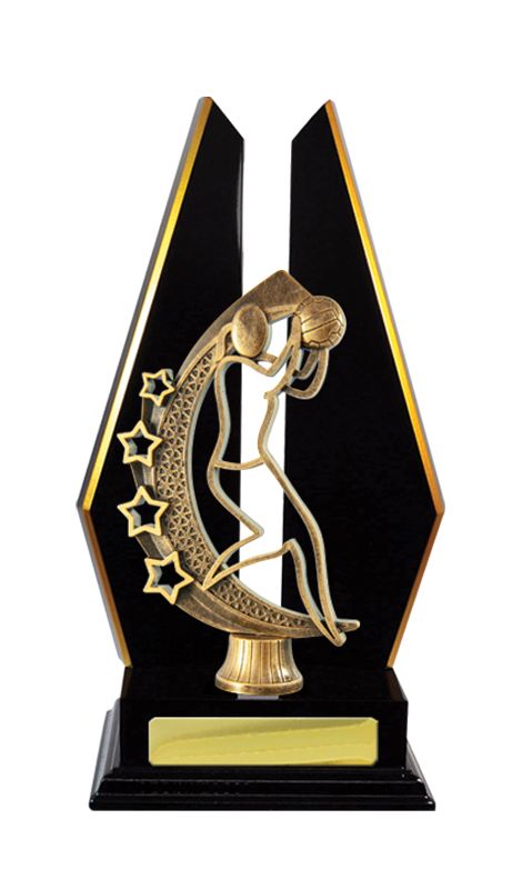 Netball Trophy 305mm