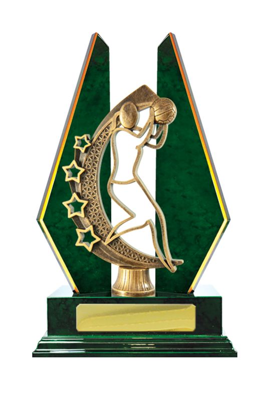 Netball Trophy 305mm