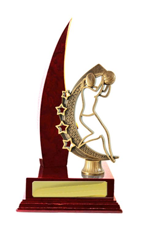 Netball Trophy 270mm
