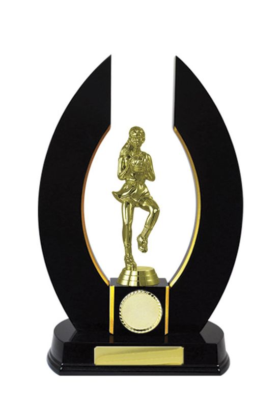 Netball Trophy 320mm