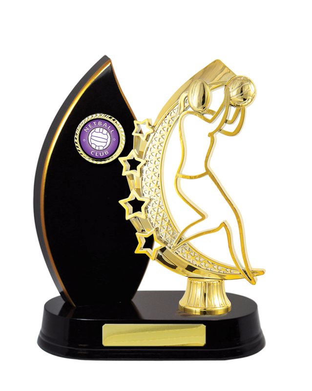 Netball Trophy 230mm