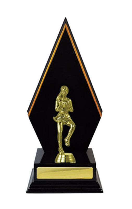 Netball Trophy 280mm