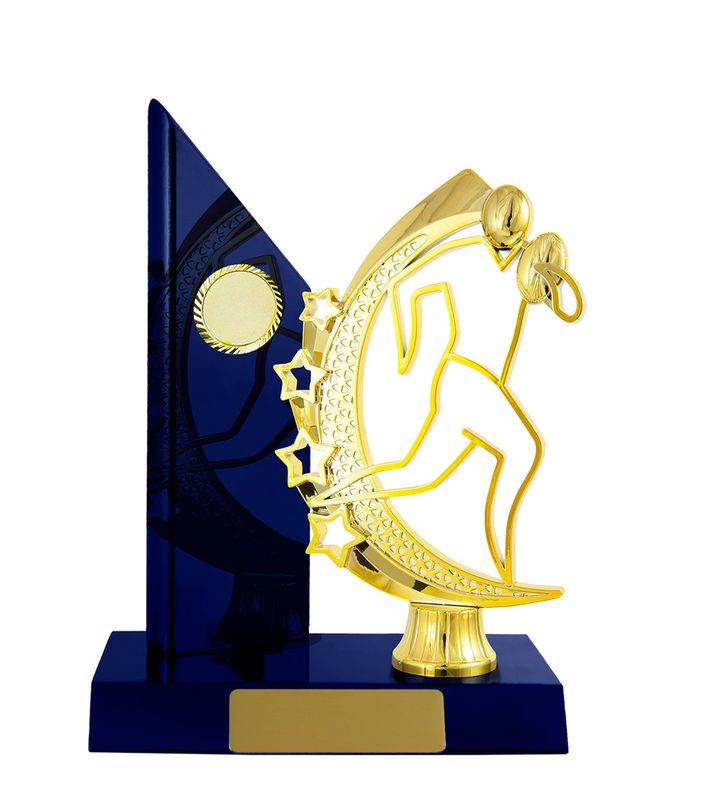 Rugby Trophy 195mm
