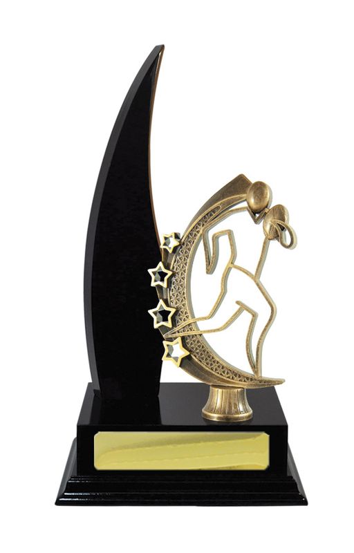 Rugby Trophy 270mm