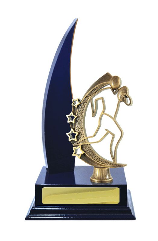 Rugby Trophy 270mm
