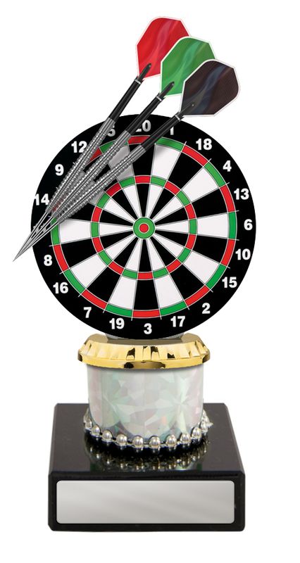 Darts Acrylic Trophy 173mm