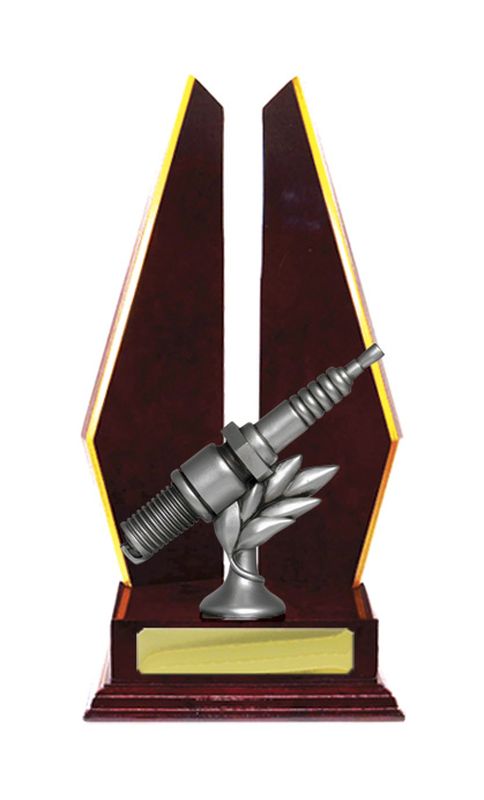 Motorsports Trophy 305mm