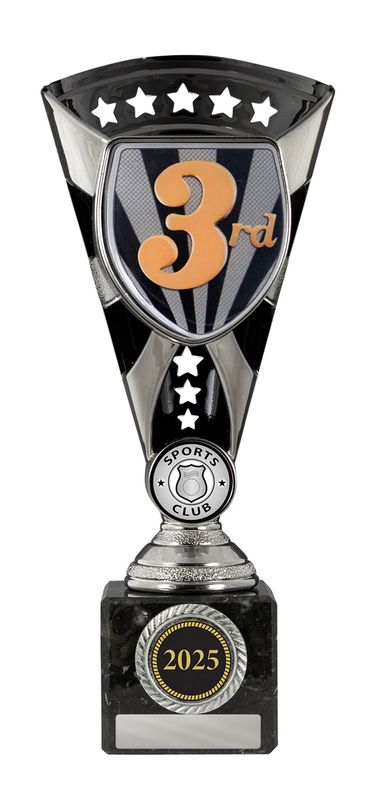 3rd Place Achievement Trophy 245mm