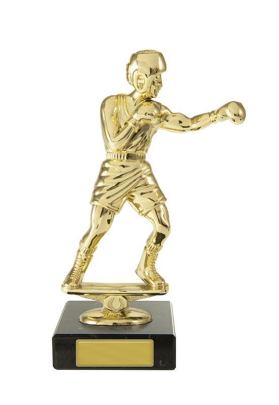 Boxing Figure on Base Trophy 150mm