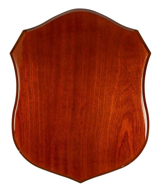 All Sports Plaque 600mm
