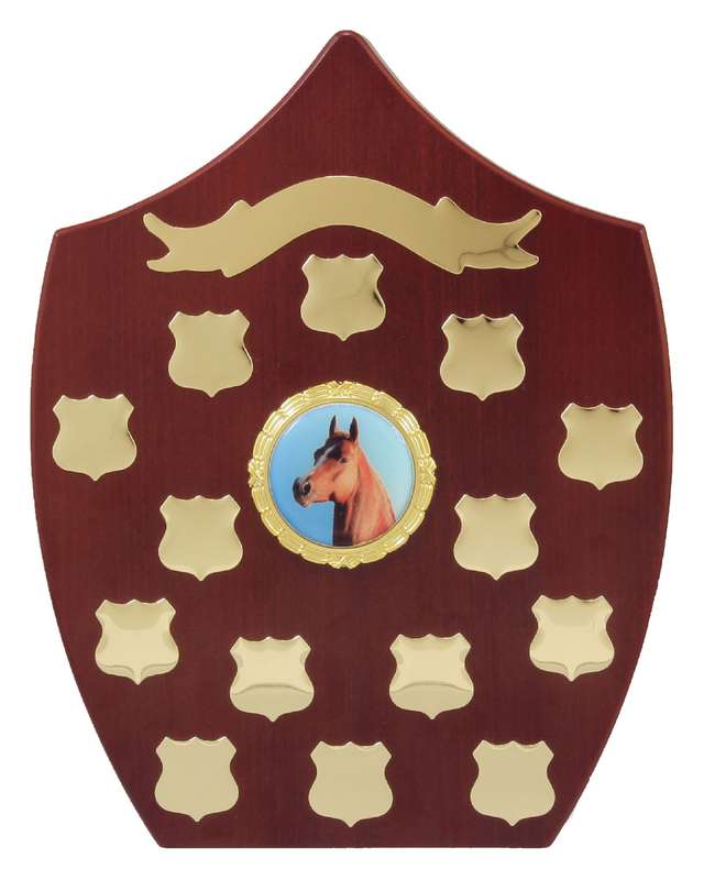 Shield Perpetual